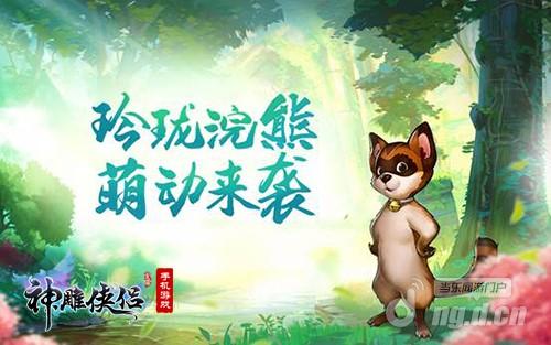 图2 灵动浣熊.jpg