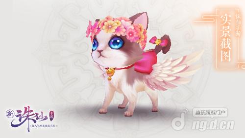 图5 超萌的二代喵呜.jpg 图5 超萌的二代喵呜.jpg
