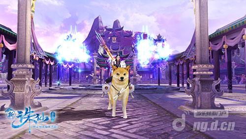 图2 人气坐骑“单身狗”.jpg