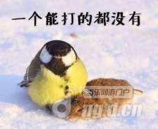 一个能打的都没有.jpg 一个能打的都没有.jpg